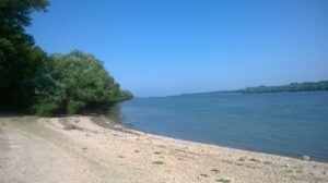 WP_20140629_003