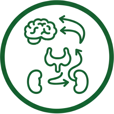 Хормонален дисбаланс