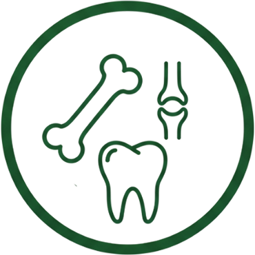 Кости, стави, зъби