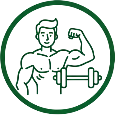 Мускулна маса