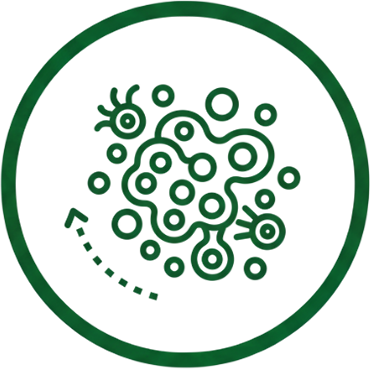 Онкологични заболявания